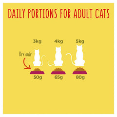 GO-CAT Chicken and Turkey Dry Cat Food 750g (Pack of 1)