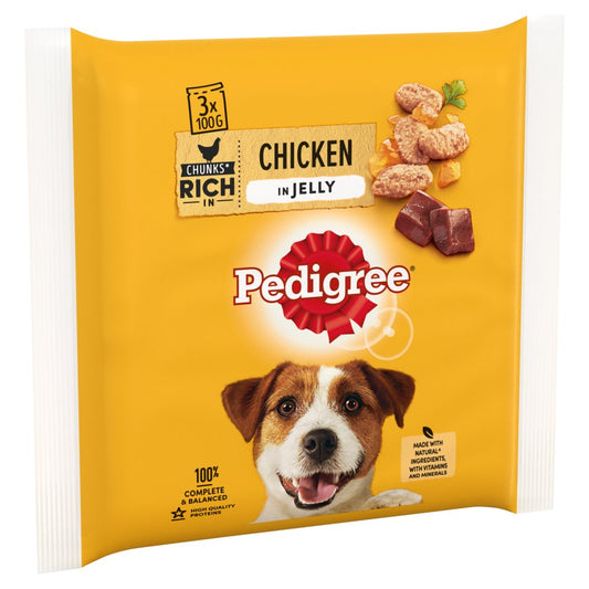 Pedigree Adult Dog Food Pouches Chicken in Jelly 3 x 100g (Pack of 14) - Hungry Tails