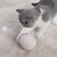 Interactive Cat Toy with Humorous Design – Engaging Play for Cats