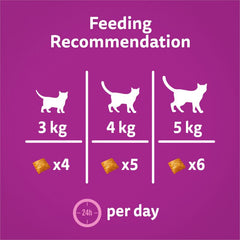 Whiskas Relax & Unwind Adult Cat Treats with Chicken 45g (Pack of 8) - Hungry Tails