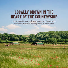 Vitalin Farmhouse Chicken Adult Dogs Food 2kg (Pack of 1)