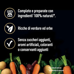 Cesar Natural Goodness Grain Free Adult Dog Food Mix Casserole Tray 24 x 100g (Pack of 1)