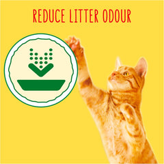 GO-CAT Indoor Chicken Dry Cat Food 750g (Pack of 5)