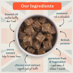 Forthglade British Classics Chicken Sunday Lunch Complete Natural Grain Free Adult Wet Dog Food 395g (Pack of 18)