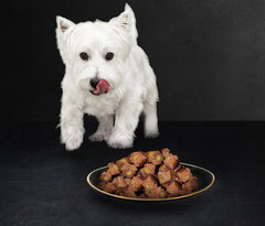 Cesar Natural Goodness Grain Free Adult Dog Food Mix Casserole Tray 8 x 100g (Pack of 3)