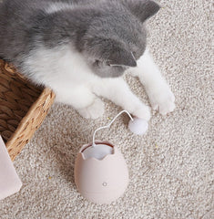 Interactive Cat Toy with Humorous Design – Engaging Play for Cats