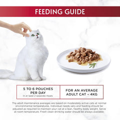 GOURMET Mon Petit Fish Variety Tuna, Salmon, Trout Wet Cat Food 6x50g (Pack of 1)