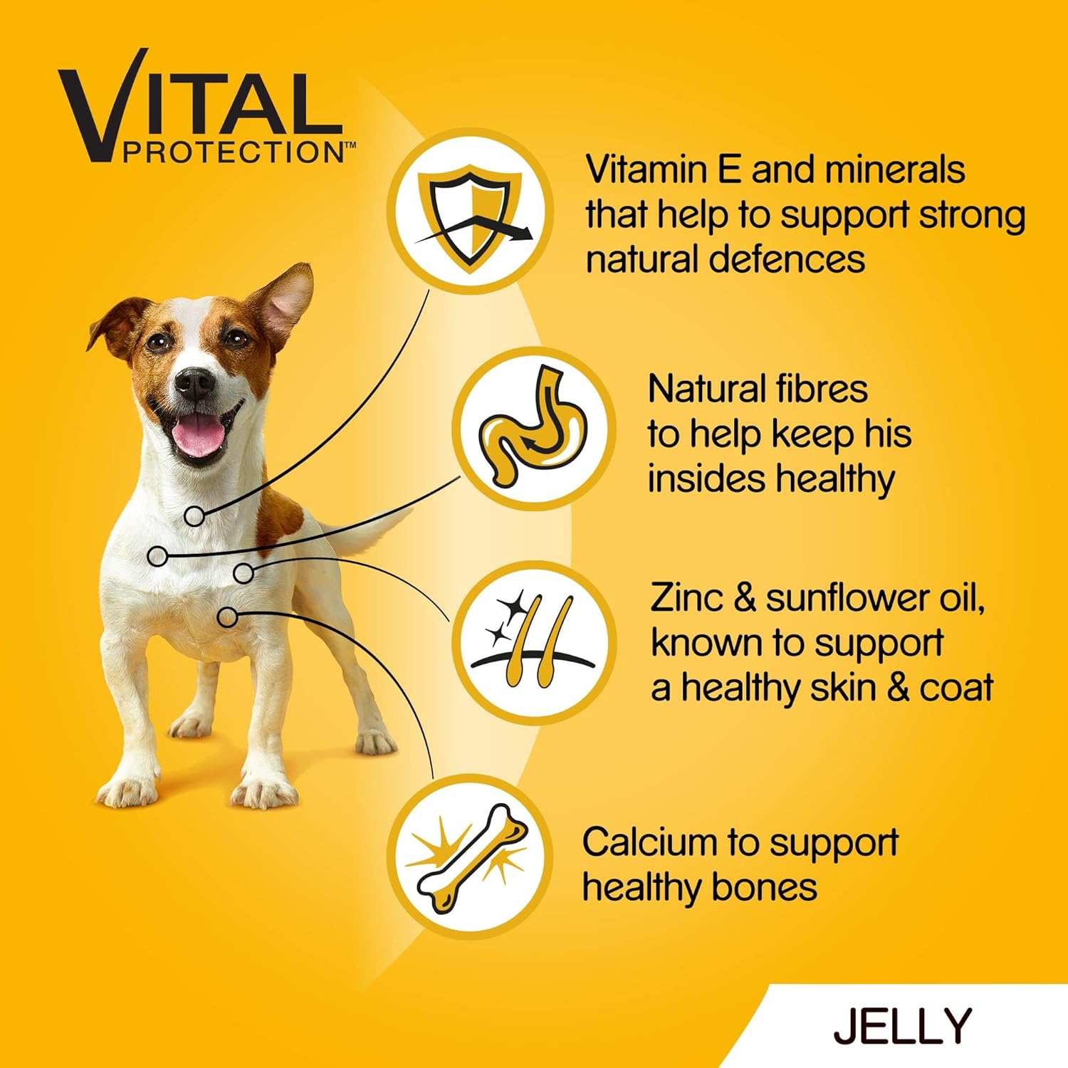 Pedigree Adult Dog Food Pouches Mixed in Gravy 12 x 100g (Pack of 1) - Hungry Tails