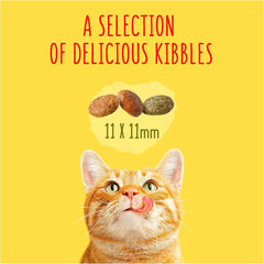 GO-CAT Indoor Chicken Dry Cat Food 750g (Pack of 1)