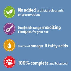 FELIX Original Salmon Wet Cat Food 85g (Pack of 24) - Hungry Tails