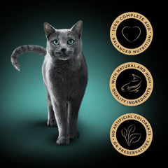 Sheba Slices Adult Cat Food Tray with Chicken in Gravy 85g (Pack of 22) - Hungry Tails