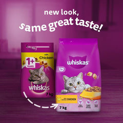 Whiskas Kitten Chicken Dry Food 300g (Pack of 6) - Hungry Tails