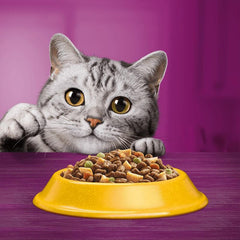 Whiskas Kitten Chicken Dry Food 300g (Pack of 6) - Hungry Tails