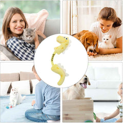 girls and boys plush toy playing with dogs and cats