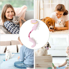 girls and boys playing cat stick to plush for cats and dogs