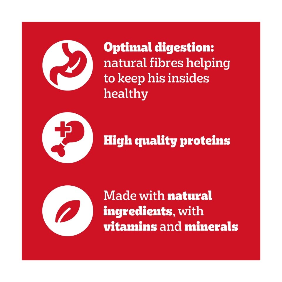 Pedigree Adult Dog Food Pouches Mixed in Gravy 12 x 100g (Pack of 1) - Hungry Tails