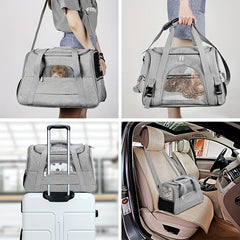 pet carrier for cat