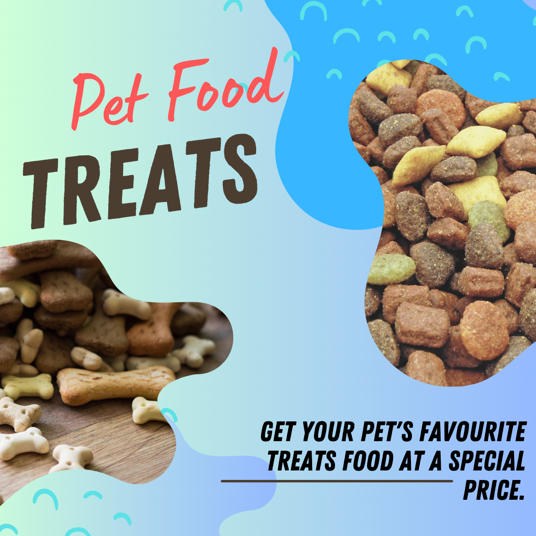 Healthy pet treats – Natural and grain-free snacks for dogs and cats