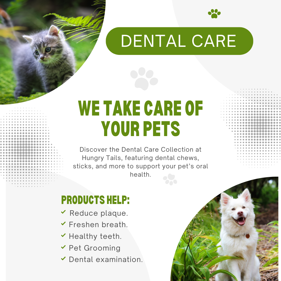 Best dental treats for pet teeth cleaning in the UK