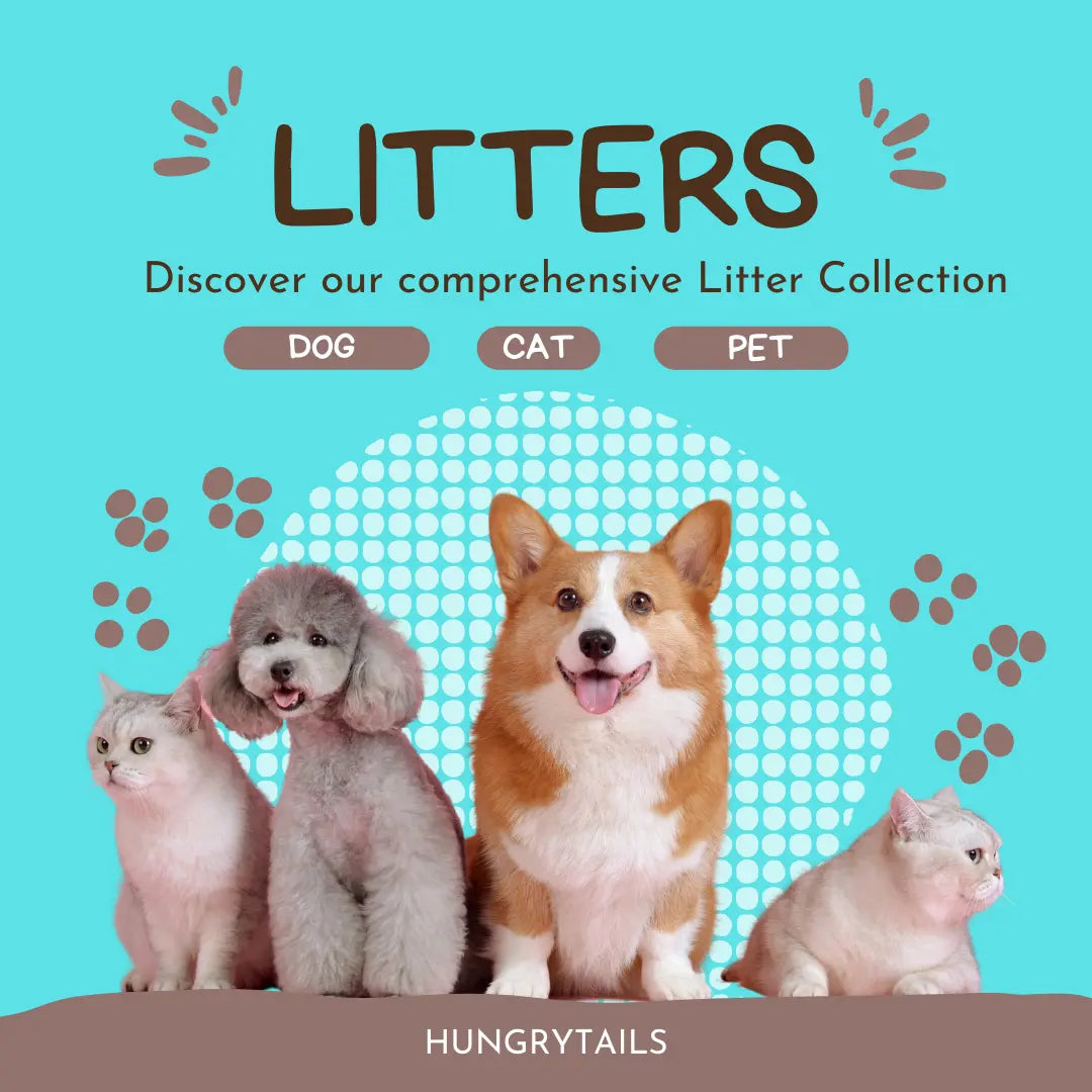 Biodegradable pet litter – Eco-friendly solutions for cats and dogs