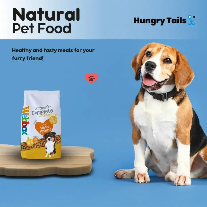 High-quality dog accessories including collars, leashes, and bowls