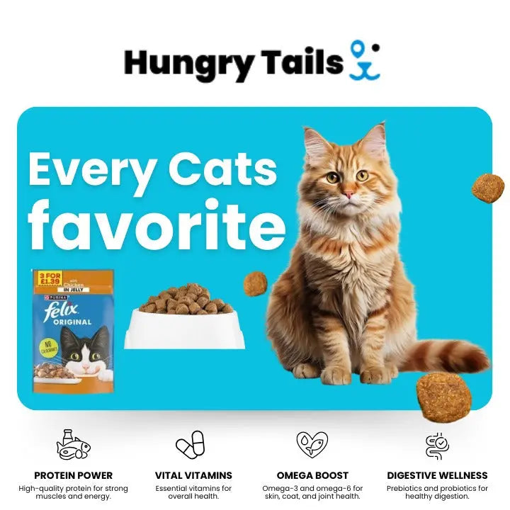 Premium food for dogs and cats – Balanced and complete nutrition