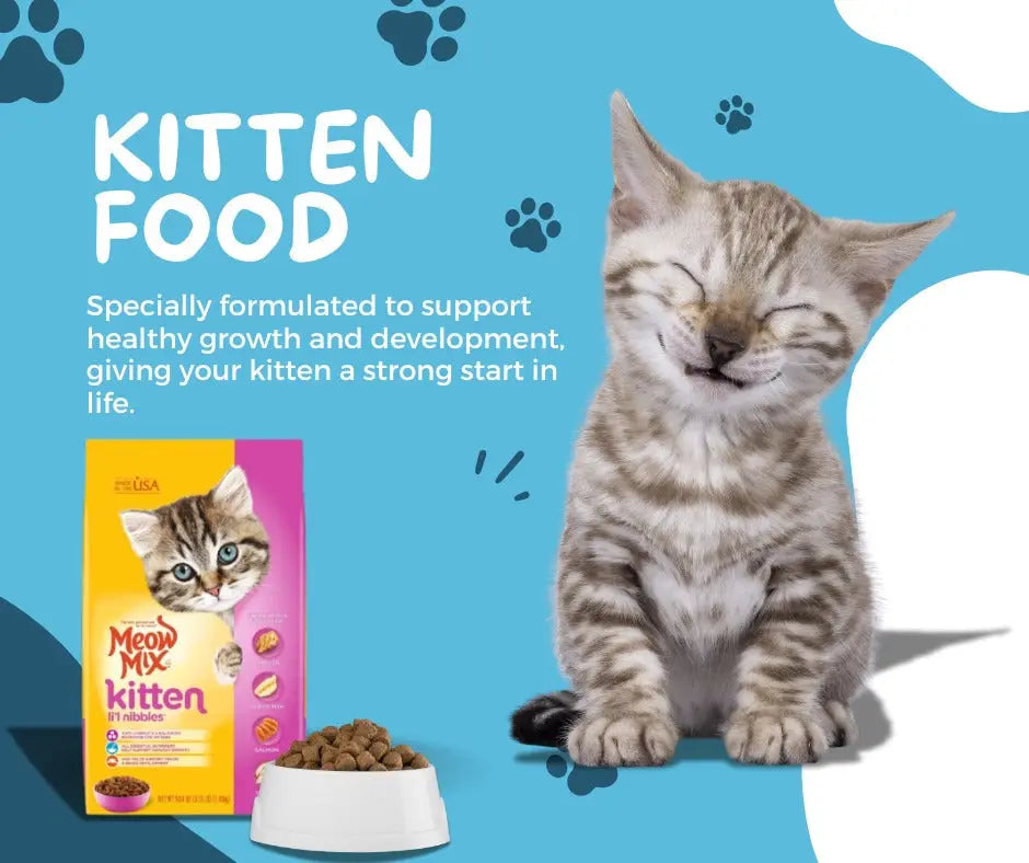 Kitten essentials – Food, treats, and accessories for happy kittens
