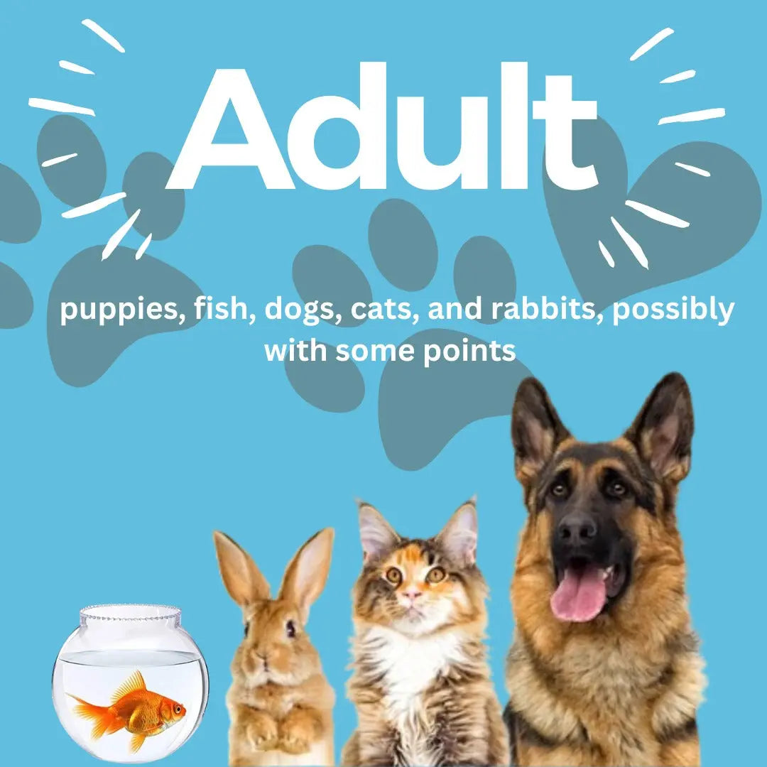 Adult pet food for dogs and cats – Nutrition for all breeds