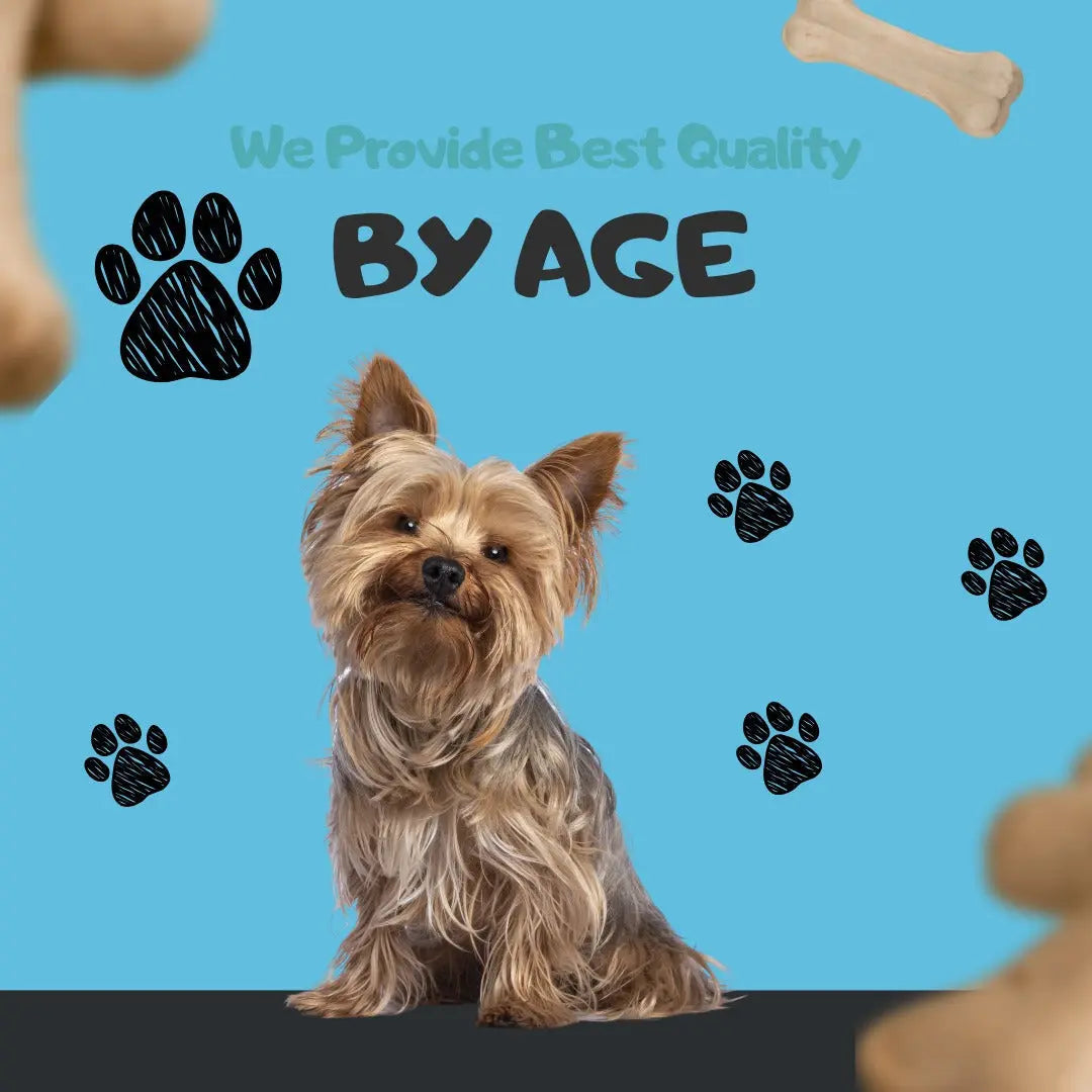 Puppy food and essentials – Nutrition for growing dogs