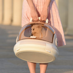 Cat Air Box Litter Portable Cat Litter Box