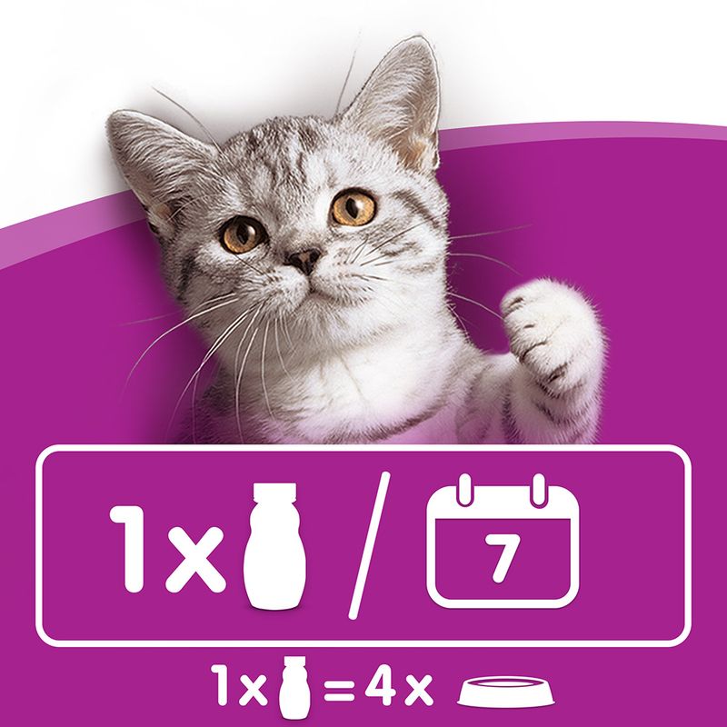 Whiskas Kitten Cat Milk Bottle 200ml (Pack of 6)