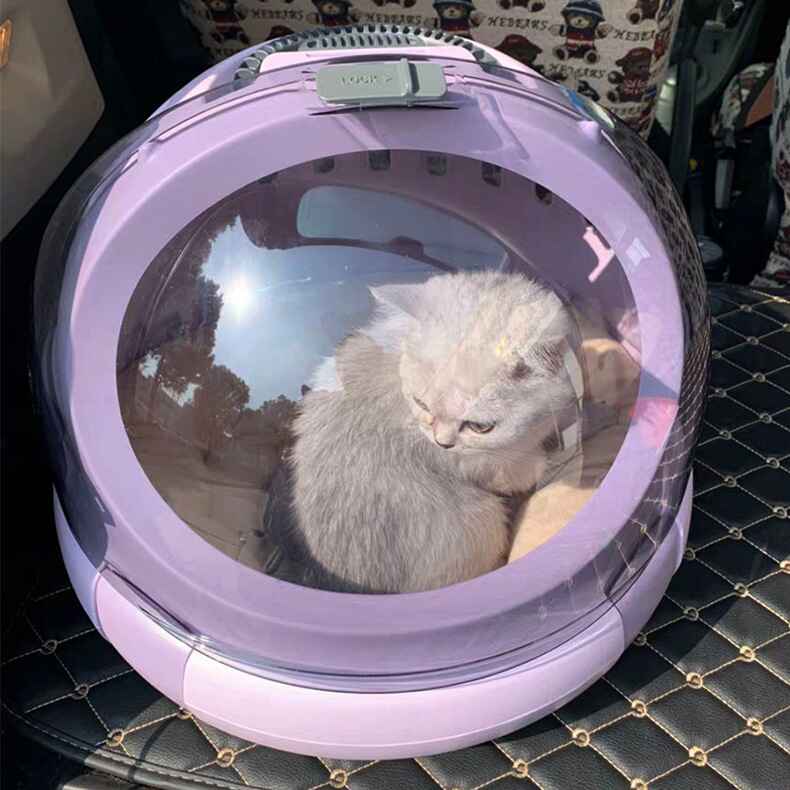 Cat Air Box Litter Portable Cat Litter Box