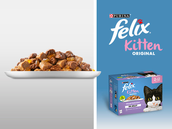 FELIX Original Kitten Mixed Selection in Jelly Cat Food 12x100g (Pack of 4)