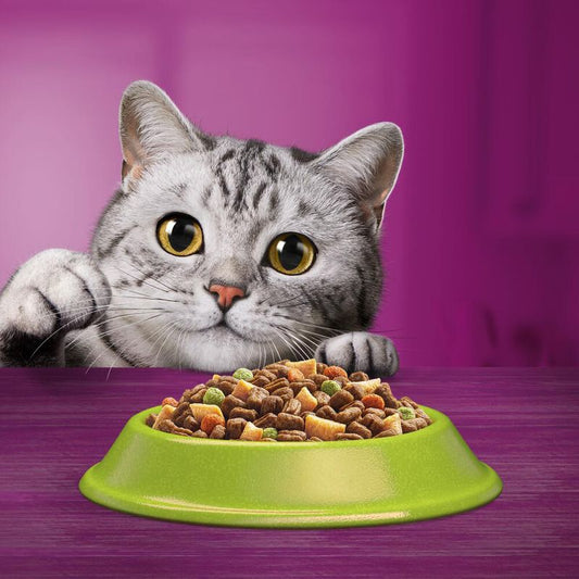 Whiskas 1+ Duo Meaty Combos Adult Cat Food in Jelly 12 x 85g (Pack of 4) - Hungry Tails