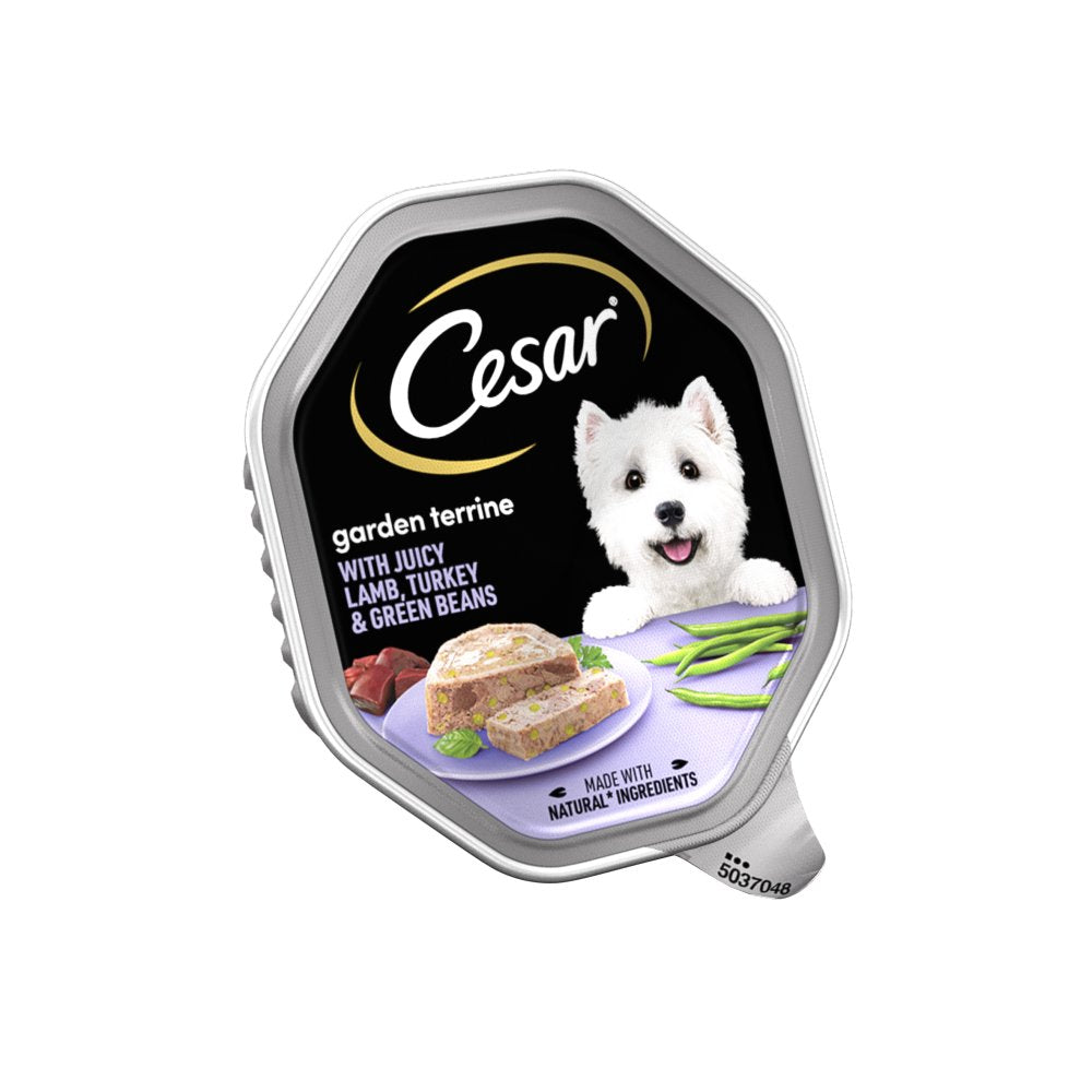 Cesar Terrine Dog Food Lamb, Turkey & Green Beans in Loaf 150g (Pack of 14) - Hungry Tails