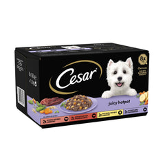 Cesar Juicy Hotpot Adult Dog Food Trays Mixed in Gravy 8 x 150g (Pack of 1)