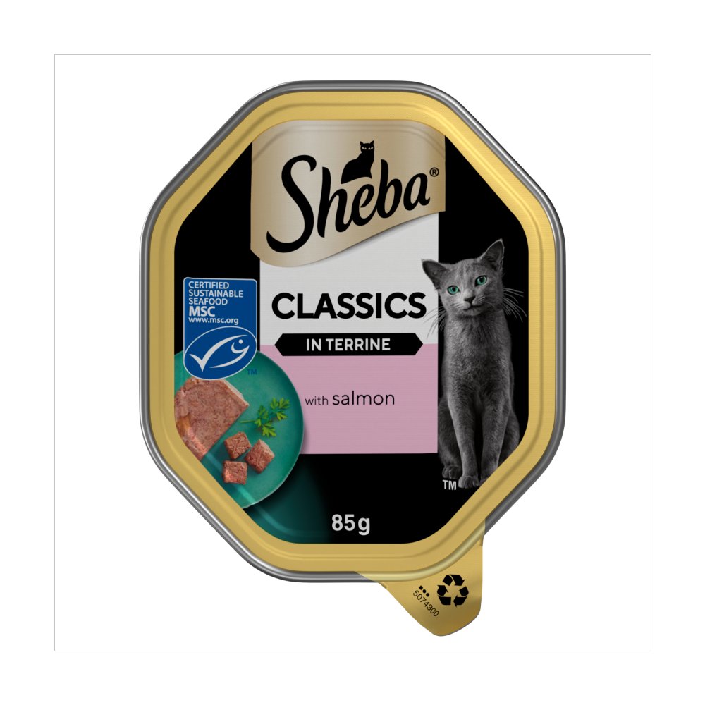 Sheba Classics Wet Cat Food Tray Salmon in Terrine 85g (Pack of 22)