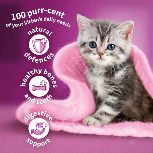 Whiskas Kitten Chicken Dry Cat Food 1.9kg(Pack of 4) - Hungry Tails
