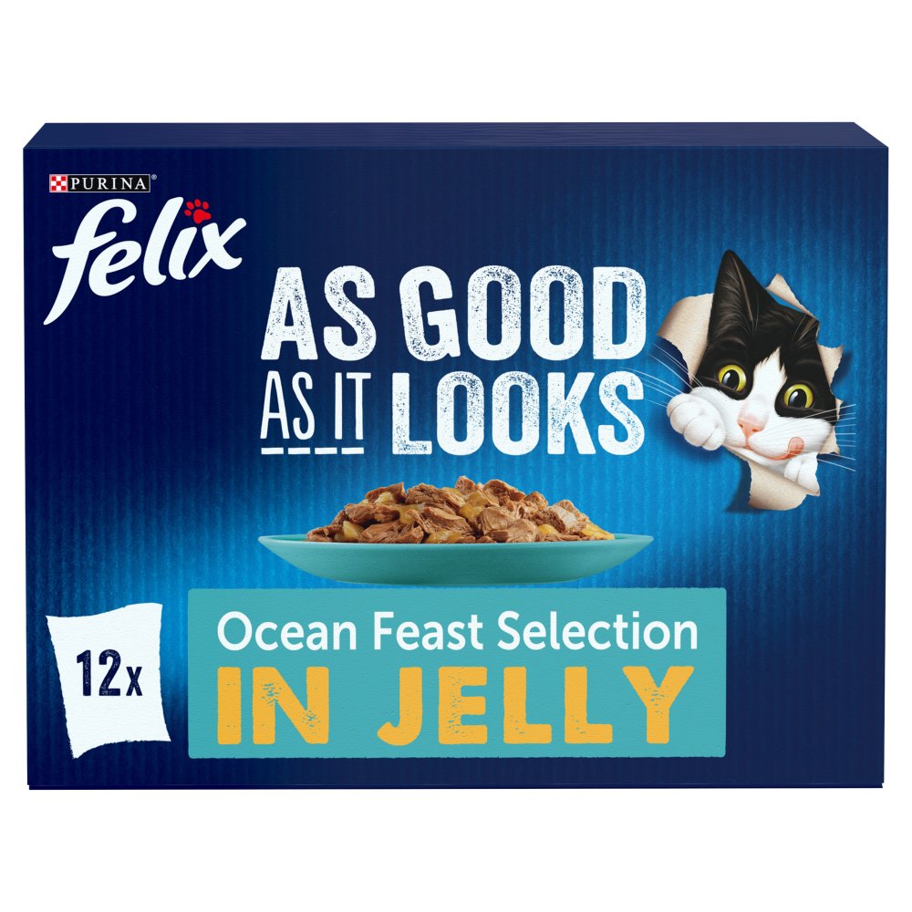 FELIX As Good As it Looks Ocean Feasts Wet Cat Food 12x100g(Pack of 1)