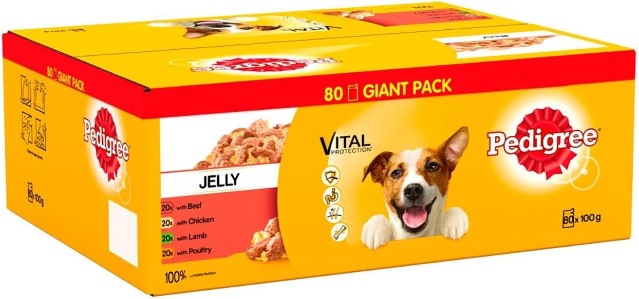 Pedigree Adult Wet Dog Food Pouches Mixed in Jelly Giant Pack 80 x 100g (Pack of 1)