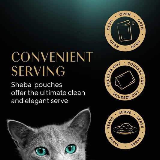 Sheba Fine Flakes Adult Cat Food Pouch Poultry Selection in Jelly 80 x 85g (Pack of 1)