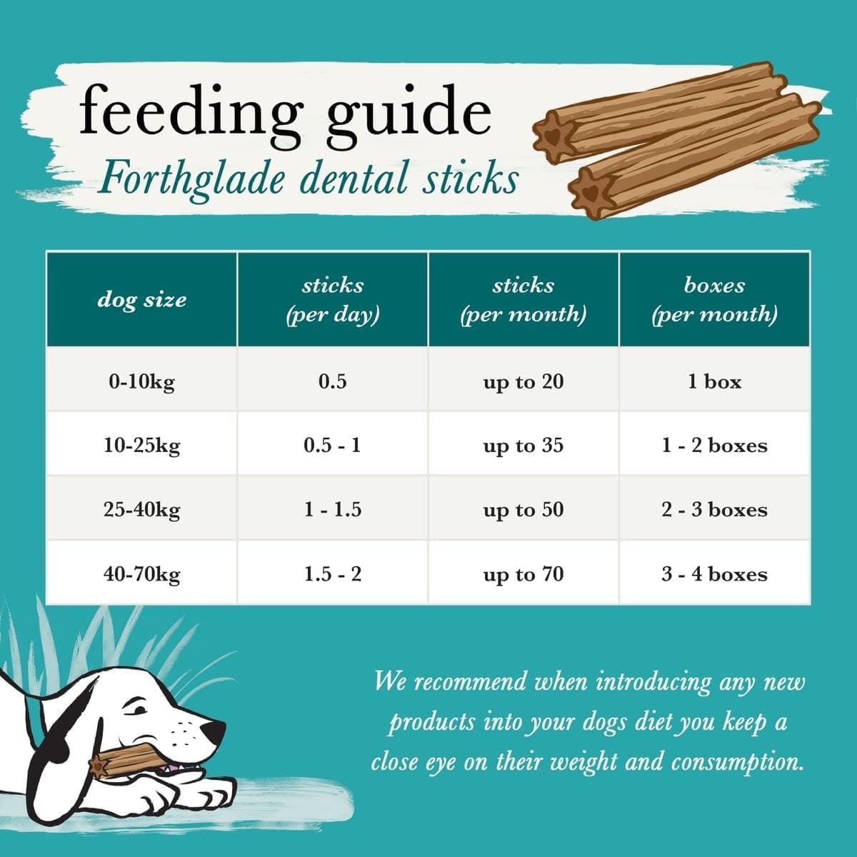 Forthglade 5 Dental Sticks 170g (Pack of 1)