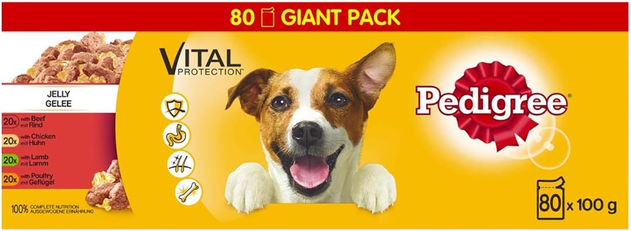 Pedigree Adult Wet Dog Food Pouches Mixed in Jelly Giant Pack 80 x 100g (Pack of 1)