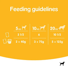 Pedigree Adult Wet Dog Food Pouches Mixed in Jelly Giant Pack 80 x 100g (Pack of 1)