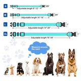 Dog-Collar-6