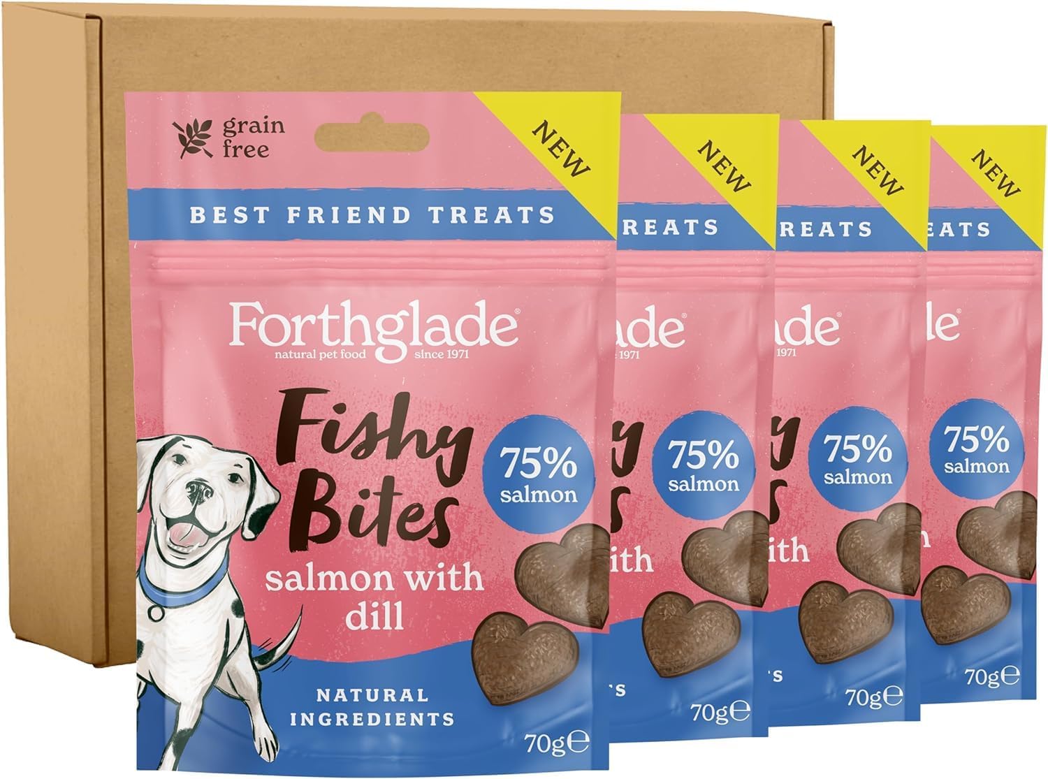 Forthglade Fishy Bites Salmon with Dill 70g (Pack of 10)