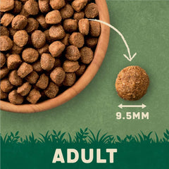 Harringtons Lamb & Rice Active Working Dog Food 15kg (Pack of 1)