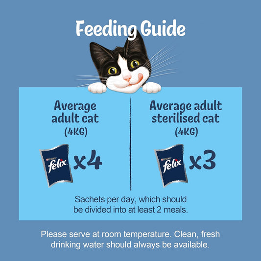 FELIX Original Fish Selection in Jelly Cat Food 12x100g (Pack of 1)
