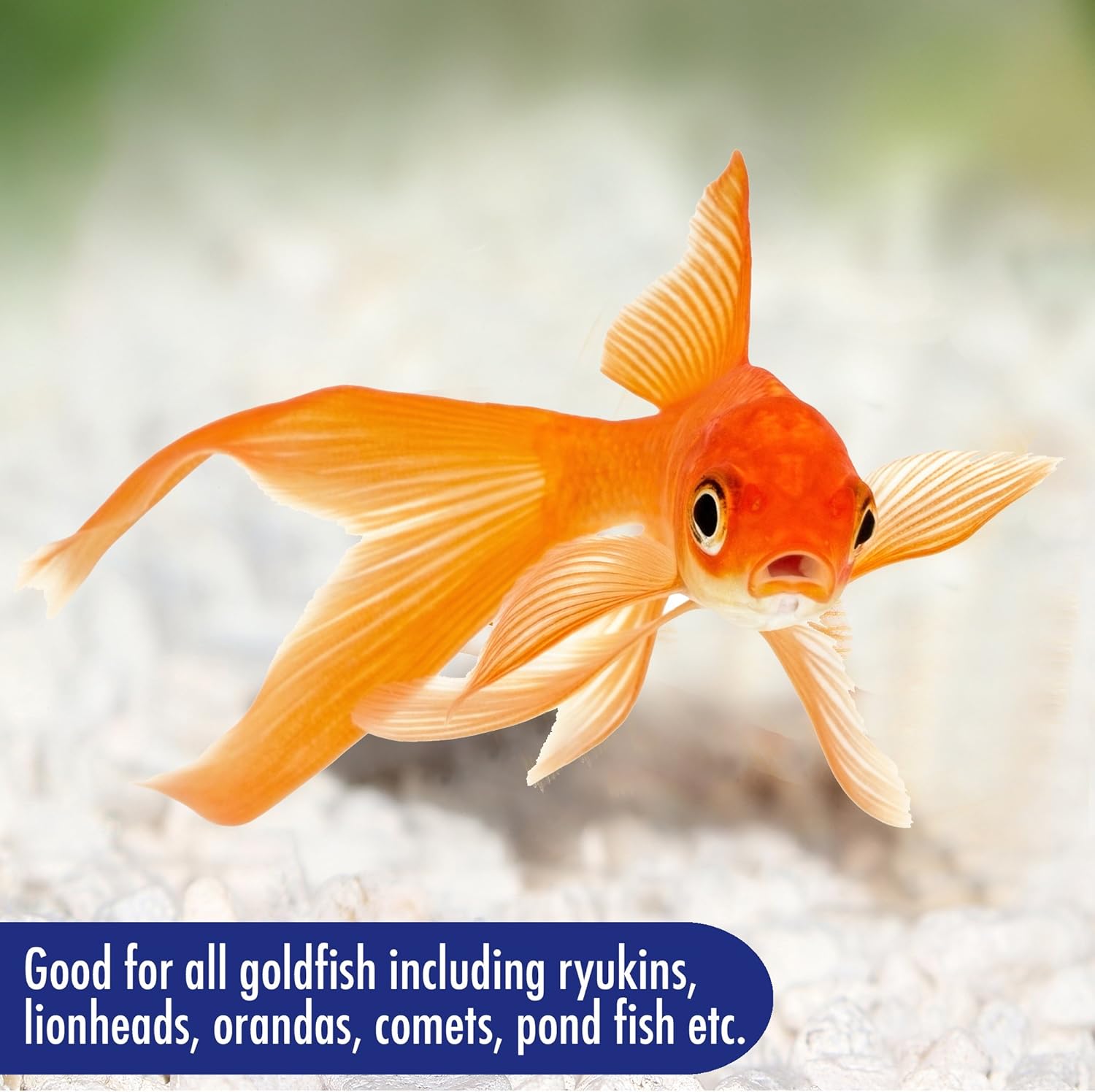 Aquarian Goldfish Food Flakes 50g (Pack of 1)