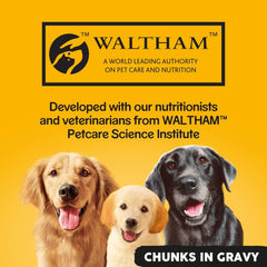 Pedigree Adult Wet Dog Food Tins Mixed in Gravy 6 x 400g (Pack of 1) - Hungry Tails